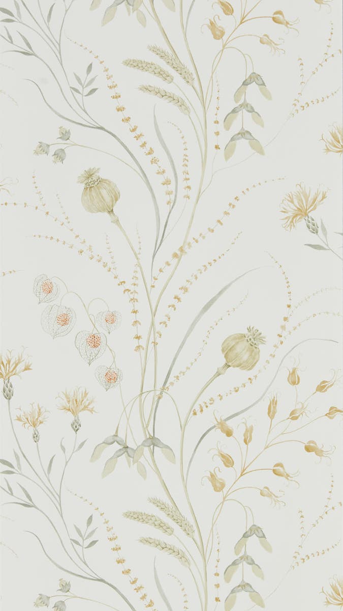Sanderson - Summer Harvest Silver Cor Embleton Bay Wallpapers