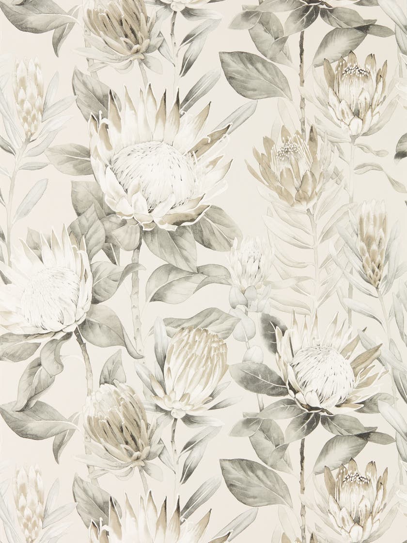 Sanderson - King Protea Linen/Mica Glasshouse Wallpapers