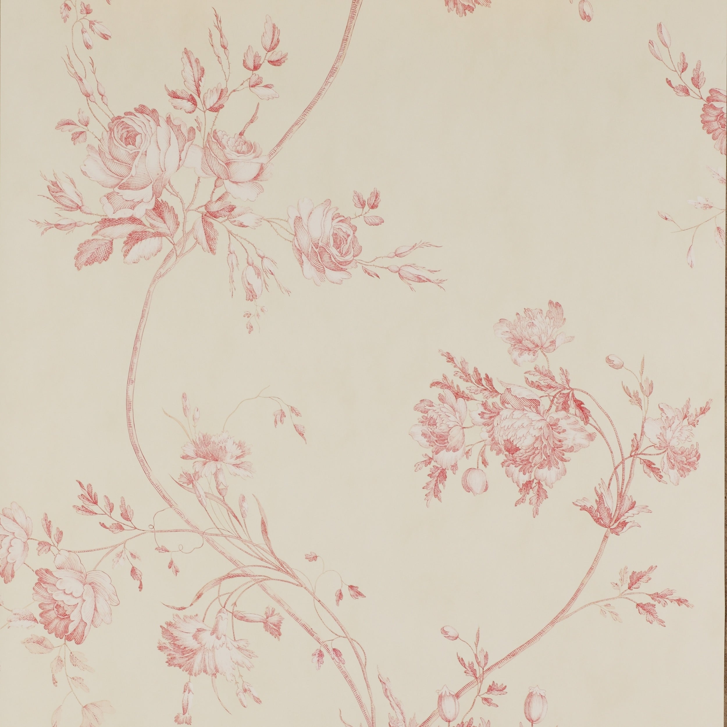 Colefax and Fowler - Darcy Red