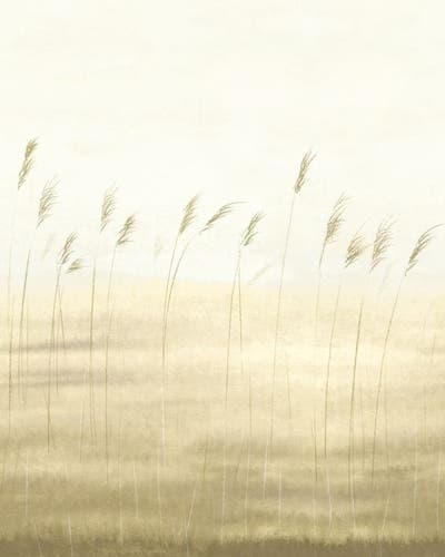 Casadeco - Jonc Des Dunes_S Ble 200X Sentier Des Dunes