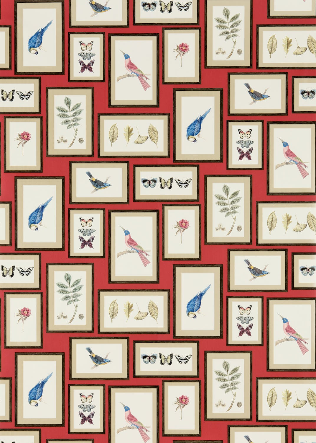 Sanderson - Picture Gallery Red/Multi Sanderson One Sixty Wallp