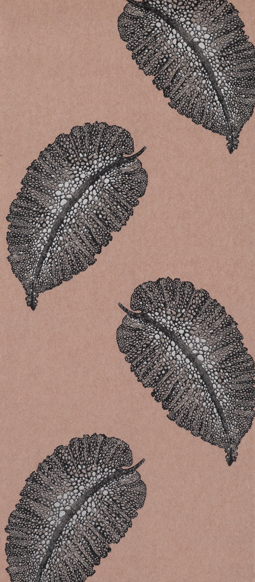 Osborne & Little - Paraggi  Terracotta