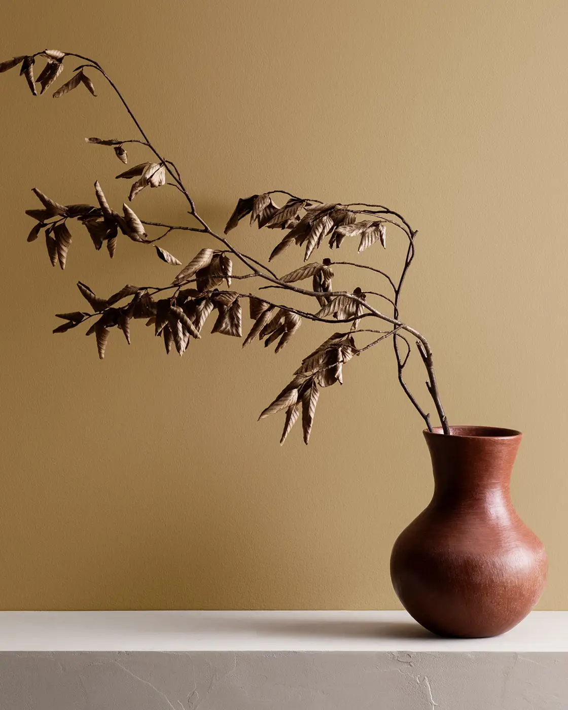 2022-009-jotun-1909-chalk-ochre_1440x1480_tcm365-234839.webp