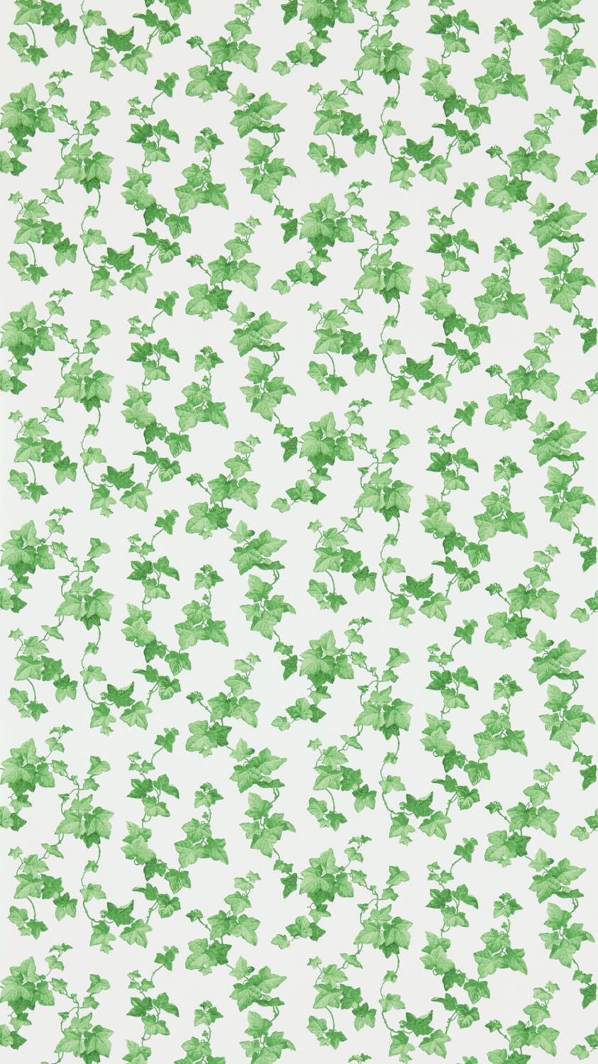 Sanderson - Hedera Green Sanderson One Sixty Wallp