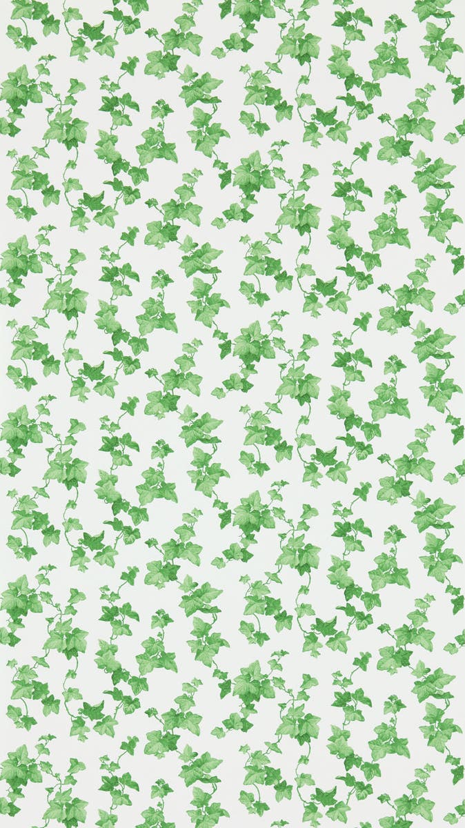 Sanderson - Hedera Green Sanderson One Sixty Wallp