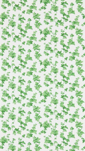 Sanderson - Hedera Green Sanderson One Sixty Wallp