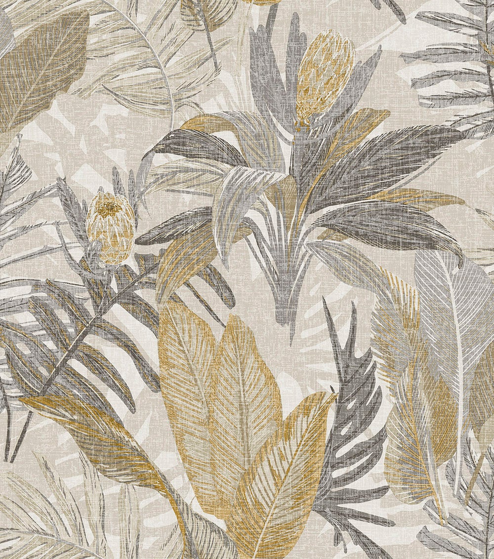 Caribbean II Wild Protea