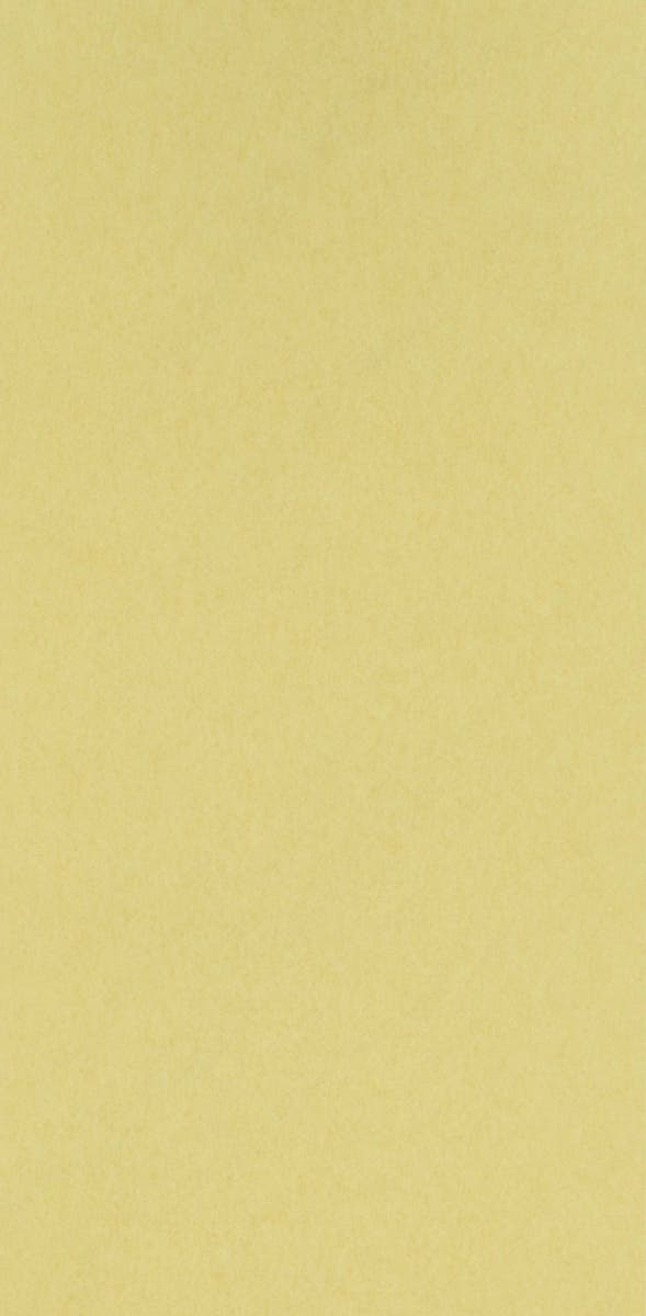 Osborne & Little - Chroma Chroma Lemon