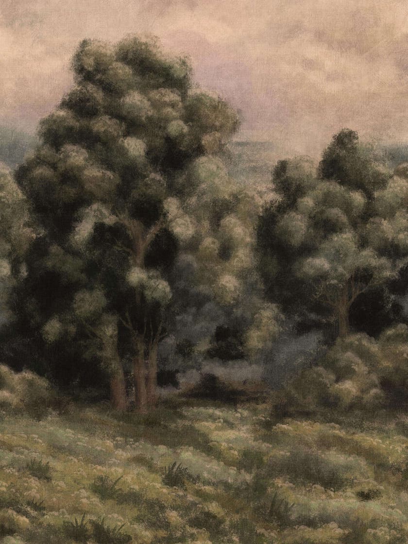 Boråstapeter - Misty Forest