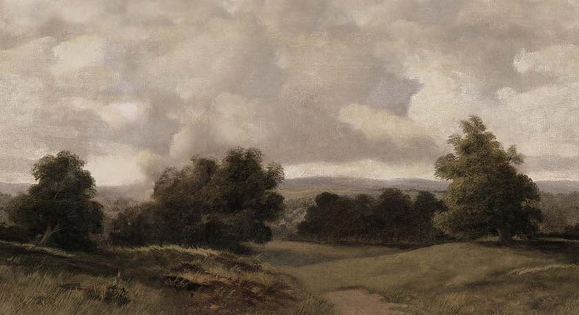 Boråstapeter - Oilpainting Landscape