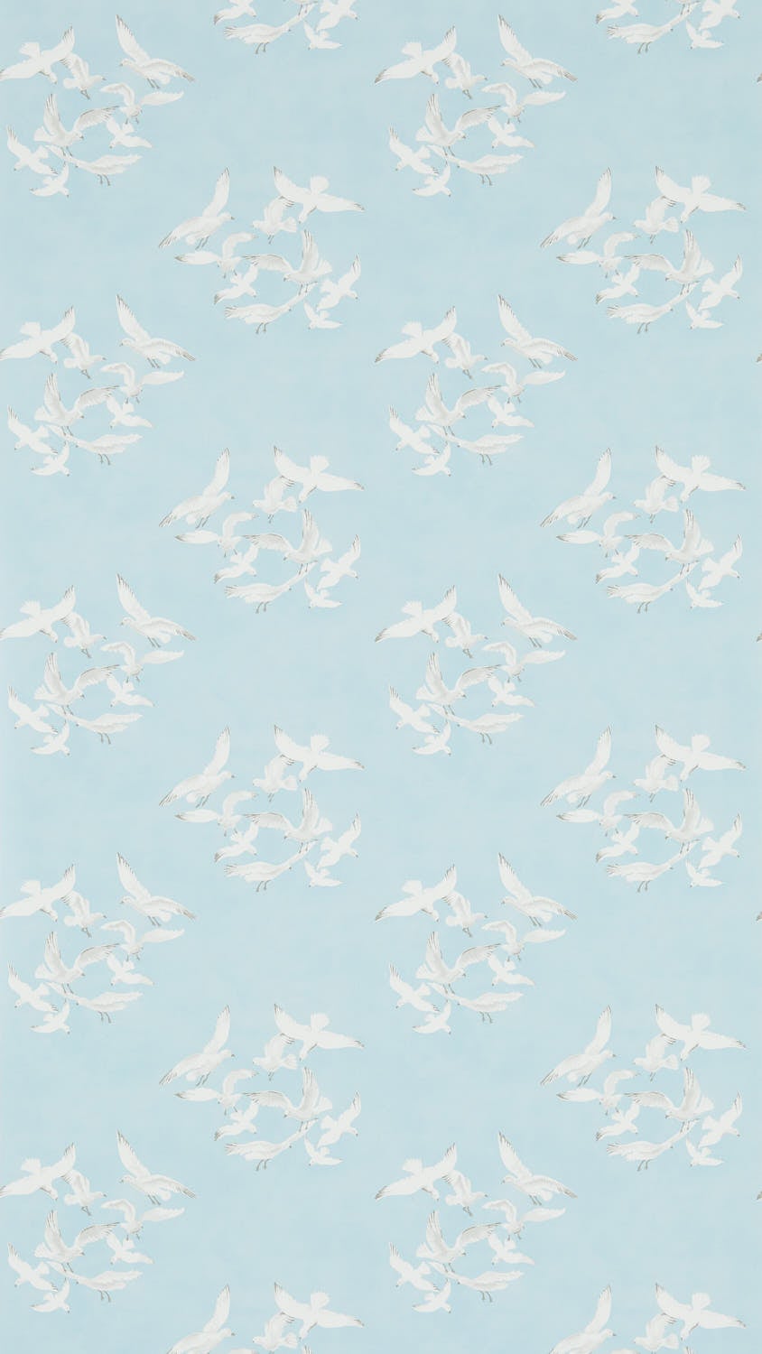 Sanderson - Seagulls Blue Sanderson One Sixty Wallp