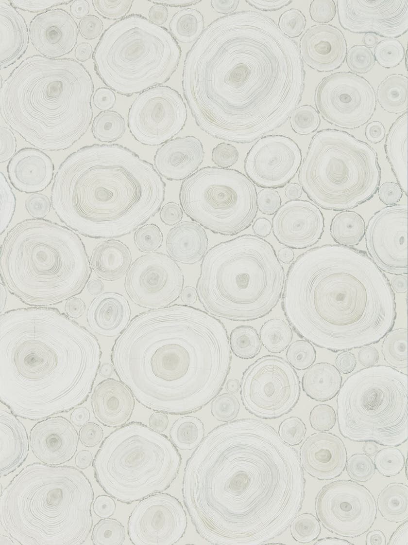 Alnwick Logs Driftwood Embleton Bay Wallpapers