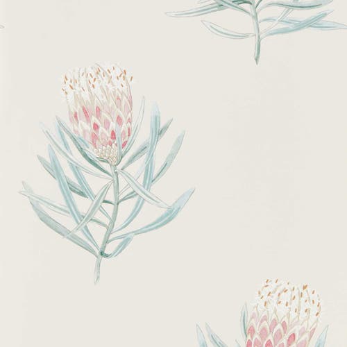 Sanderson - Protea Flower Porcelain/Blush