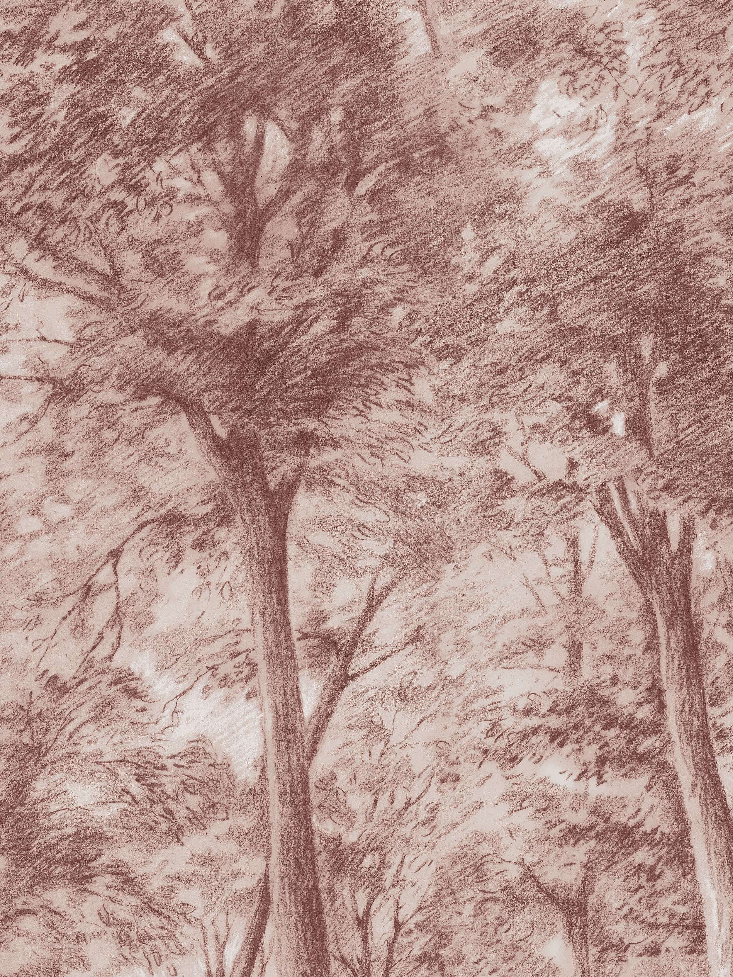 Boråstapeter - Boråstapeter - Sketch of Trees