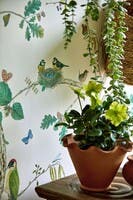 Woodland Chorus Botanical Arboretum Wallpapers