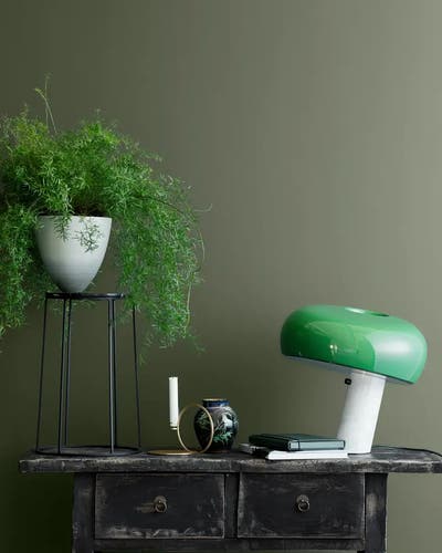 Lady Wonderwall - 3L - 8494 Organic Green