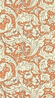 Bachelors Button Burnt Or Cornubia Wallpapers