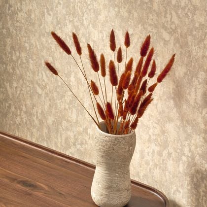 Casadeco - Mur Antique Beige Argile So Color 5