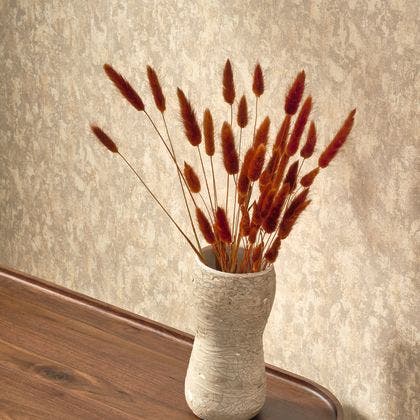 MUR ANTIQUE BEIGE ARGILE SO COLOR 5