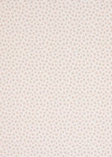 Jane Churchill - Cleo Pink