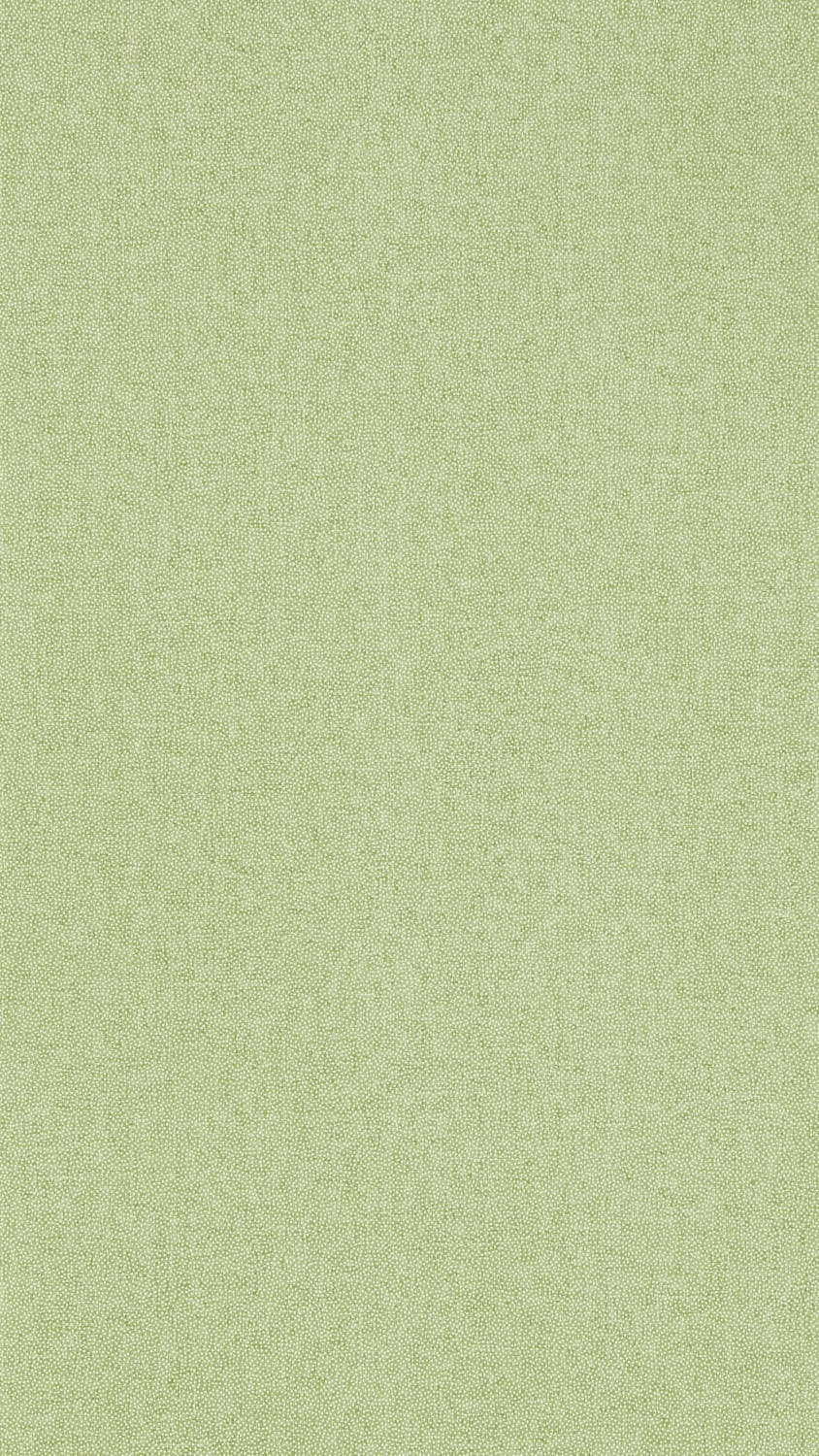 Sanderson - Sessile Plain Moss Green Arboretum Wallpapers