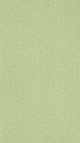 Sanderson - Sessile Plain Moss Green Arboretum Wallpapers