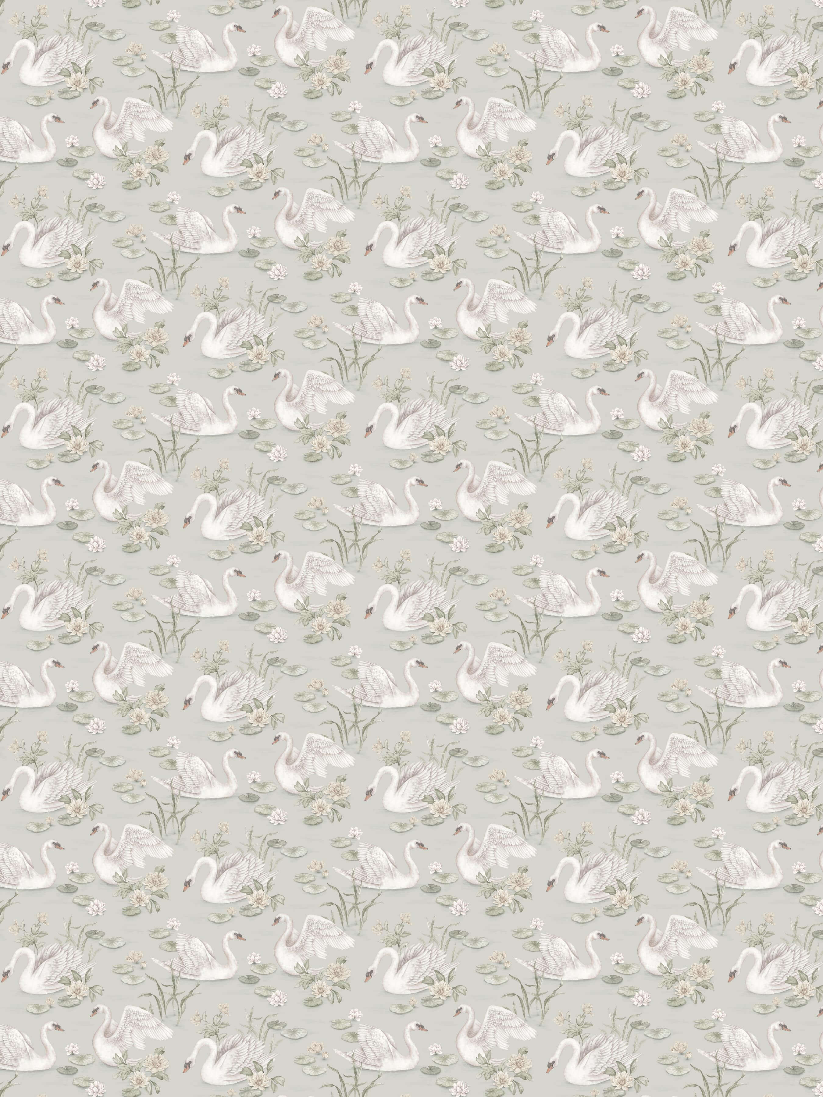 Boråstapeter - Lily Swan Newbie