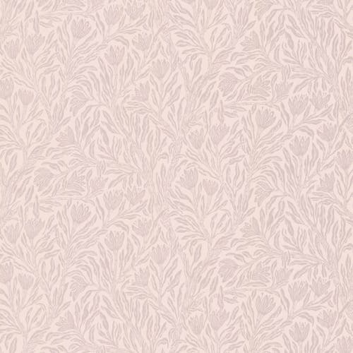 Krokus Northern Rose Norrviva