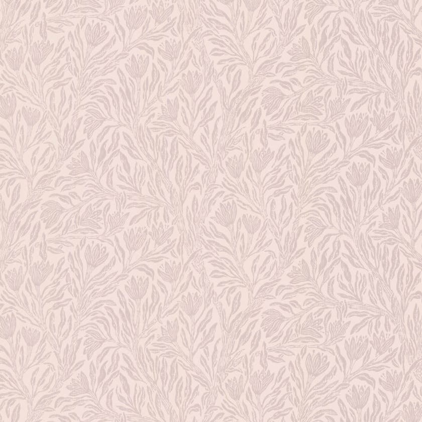 Krokus Northern Rose Norrviva