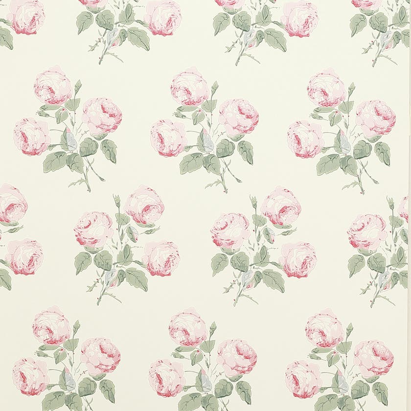 Colefax and Fowler - Bowood Pink/Leaf