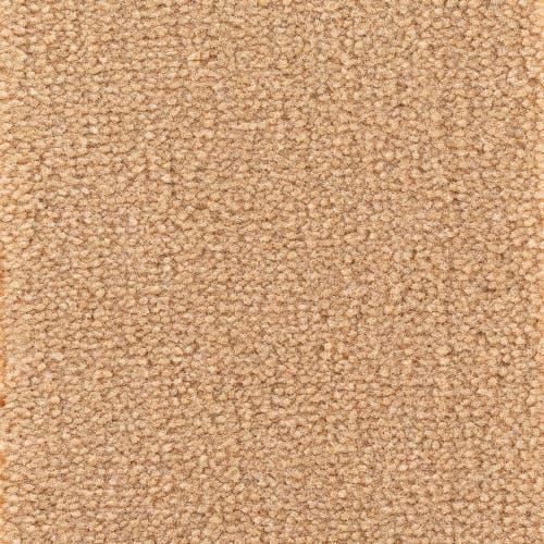 Astoria Base Camel Golvabia Textilgolv