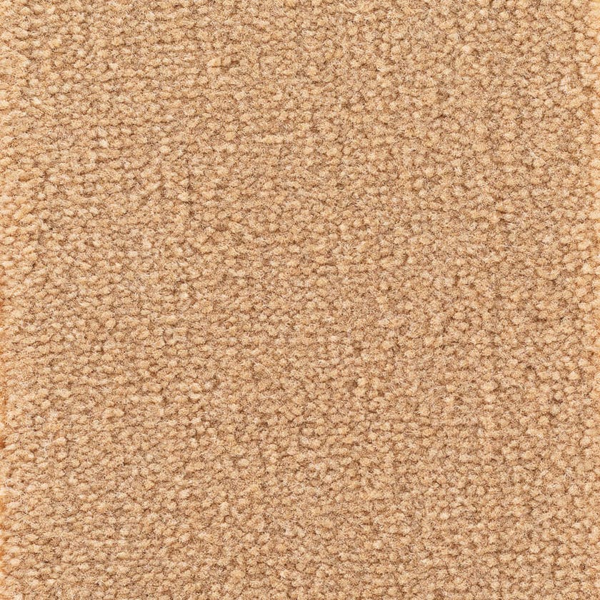 Astoria Base Camel Golvabia Textilgolv