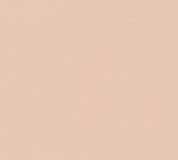 Palette
