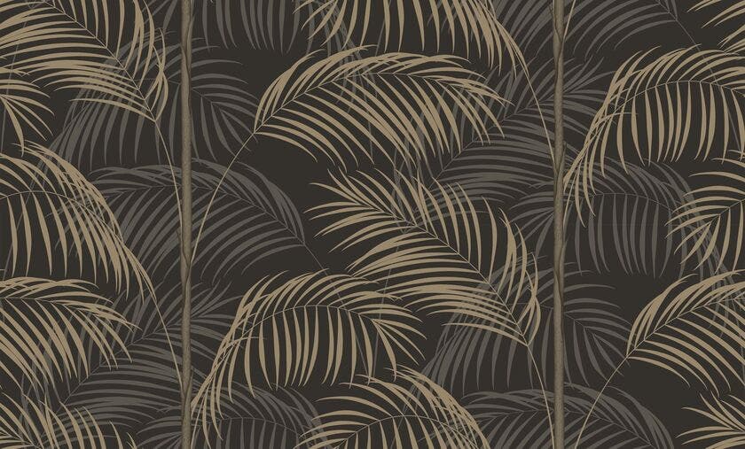 LE TOUT PARIS NOIR FUSAIN ANNEES FOLLES