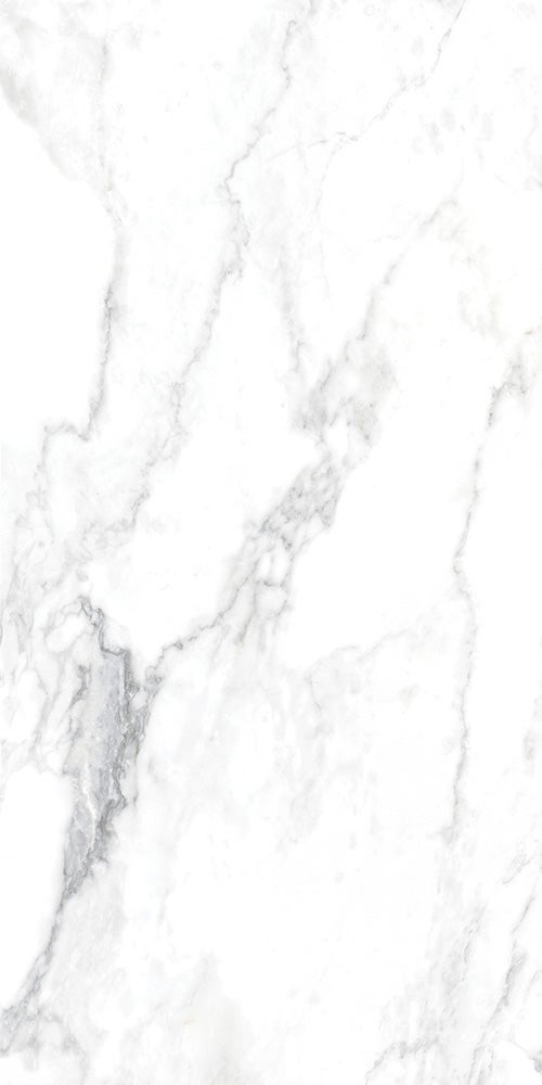 Canova Arabescato 60x120 såg
