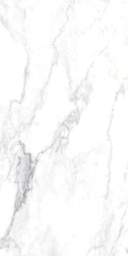 Canova Arabescato 60x120 såg