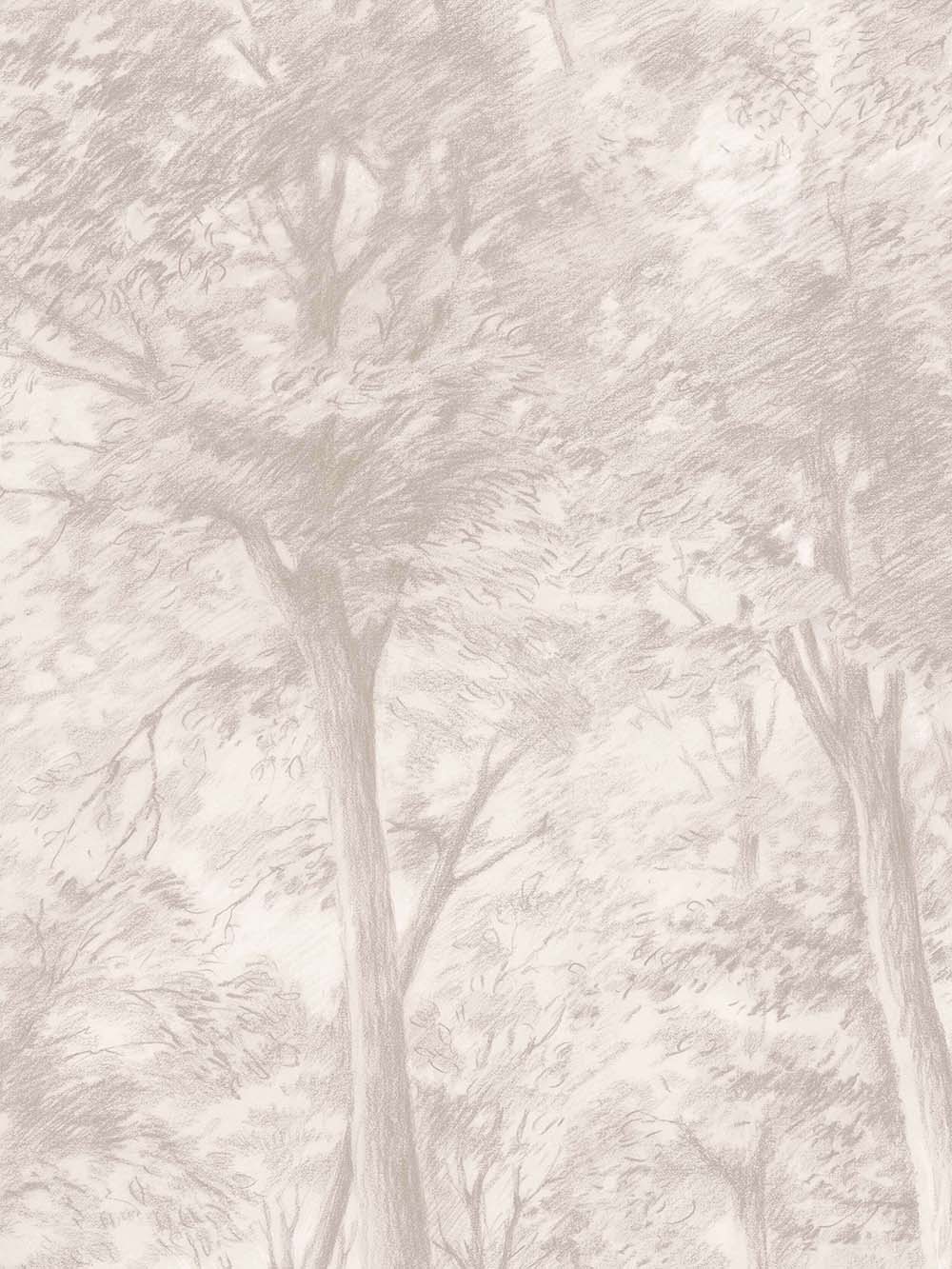 Boråstapeter - Sketch of Trees