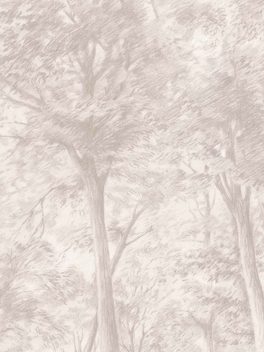 Boråstapeter - Sketch of Trees