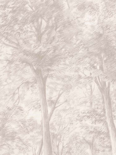 Boråstapeter - Sketch of Trees