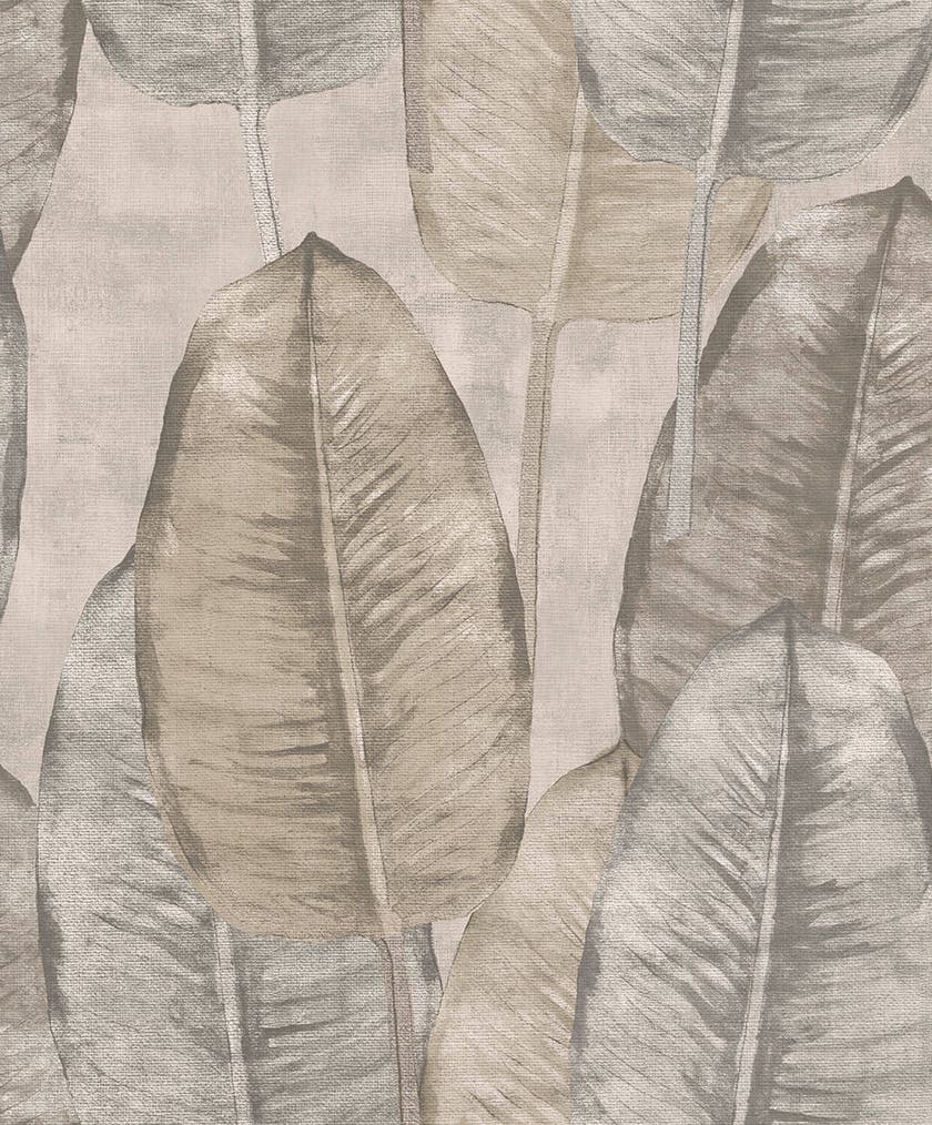 Midbec Tapeter - Rubber Tree