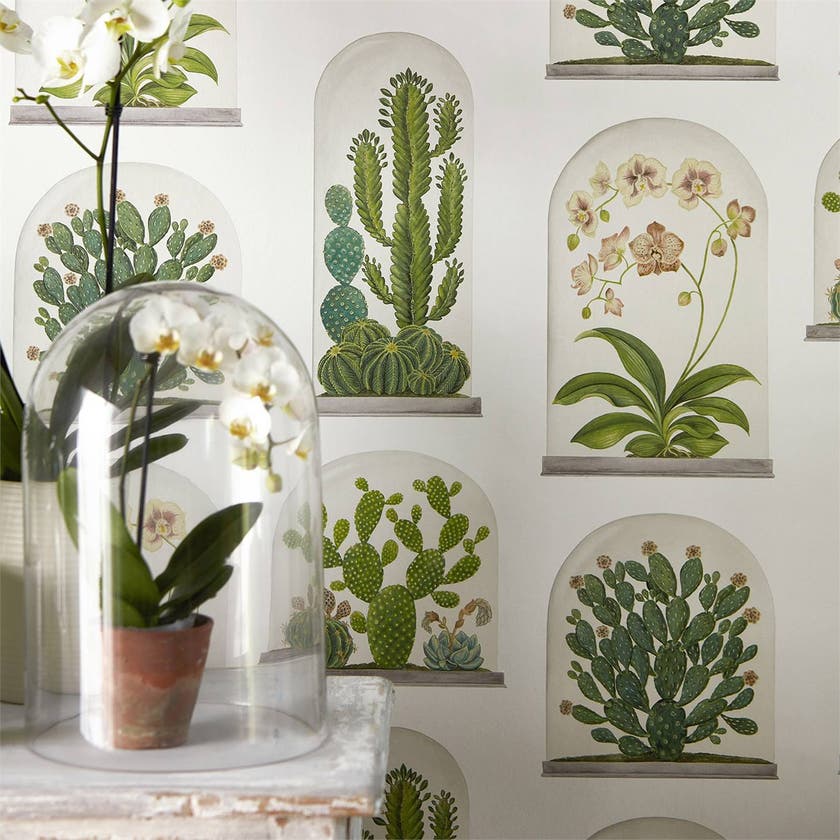 Sanderson - Terrariums Chalk/Green Glasshouse Wallpapers