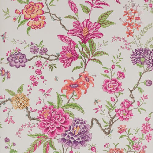 Manuel Canovas - Beauchamp Rose Persan