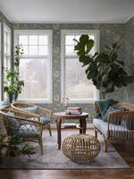 Alicia - Vårt Arkiv