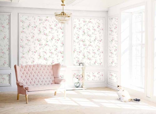 Carma - Alice & Rose