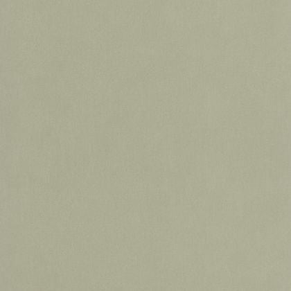 Caselio - Uni Vert Amande Basics