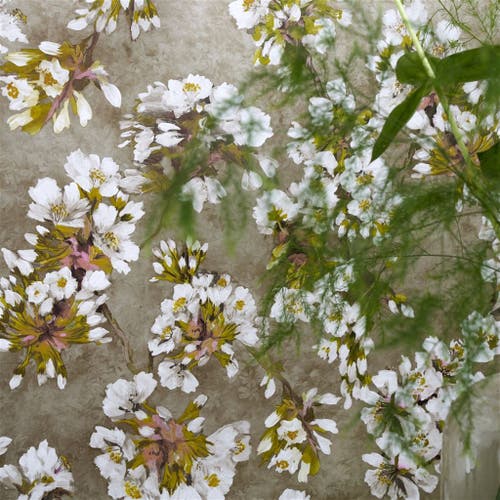 Designers Guild - Fleur D'Assam Porcelaine de Chine Wallp