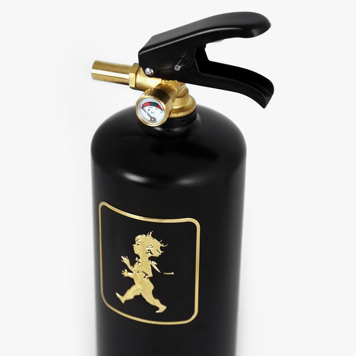 Brandsläckare 2 kg Svart/Guld