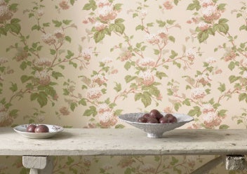Colefax and Fowler - Chantilly Pink/Green
