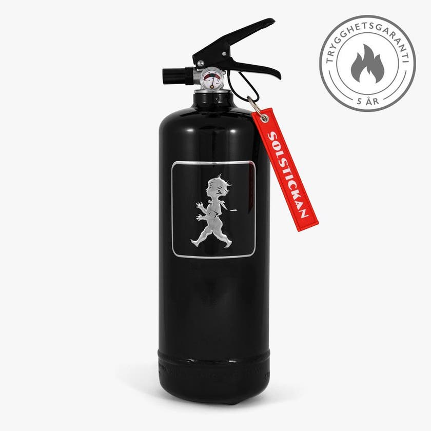 Brandsläckare 2 kg Svart/Silver