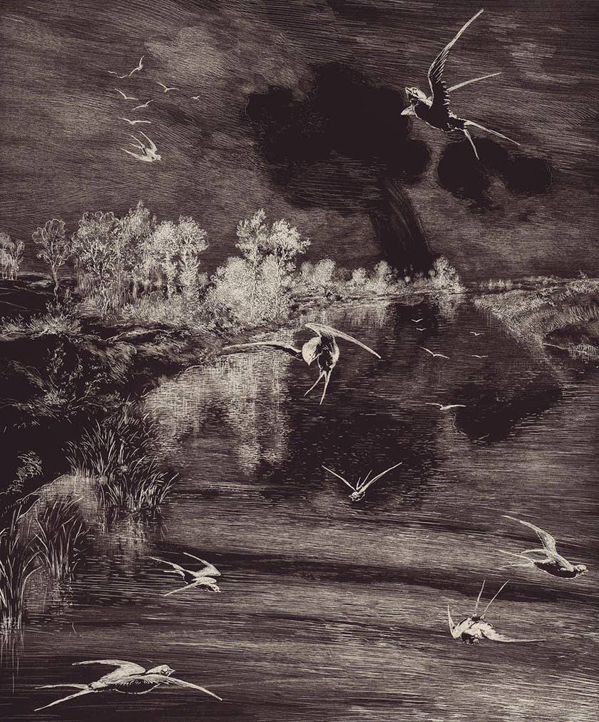 Eijffinger Intrade - Geonature